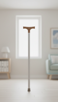 Mobility Support Cane with Brushed Metal Handle
